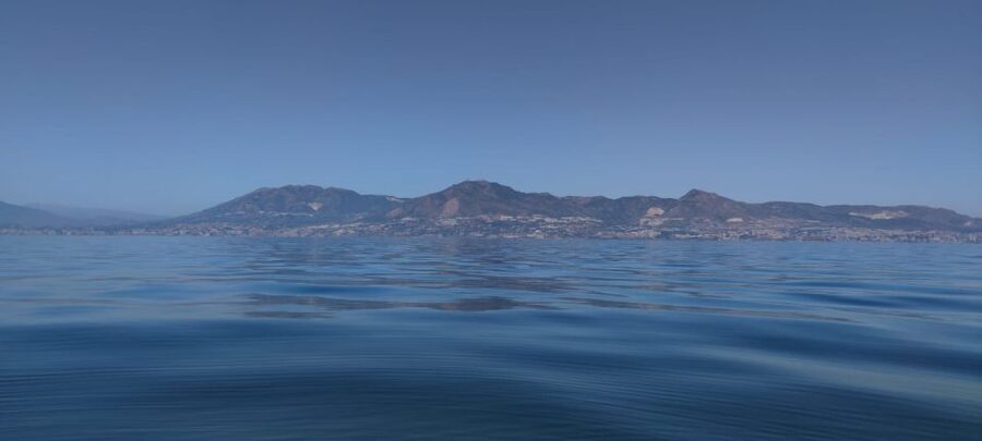 Fuengirola: Fantastic Dolphin Watching Yacht Tour with Drink - What your drink includes