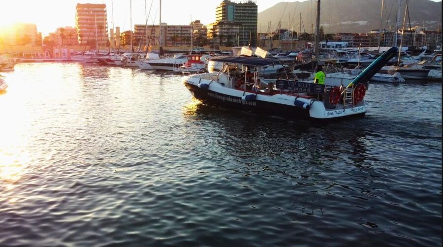 Fuengirola: Fantastic Dolphin Watching Yacht Tour with Drink - How the two hours usually feel