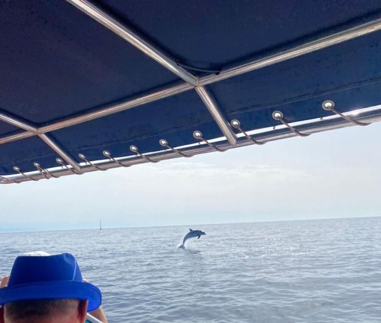 Fuengirola: Fantastic Dolphin Watching Yacht Tour with Drink - Who will enjoy this cruise most?