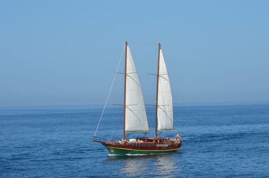 Fuerteventura: Exclusive Turkish Gulet Cruise with Lunch - Who will enjoy this cruise most?