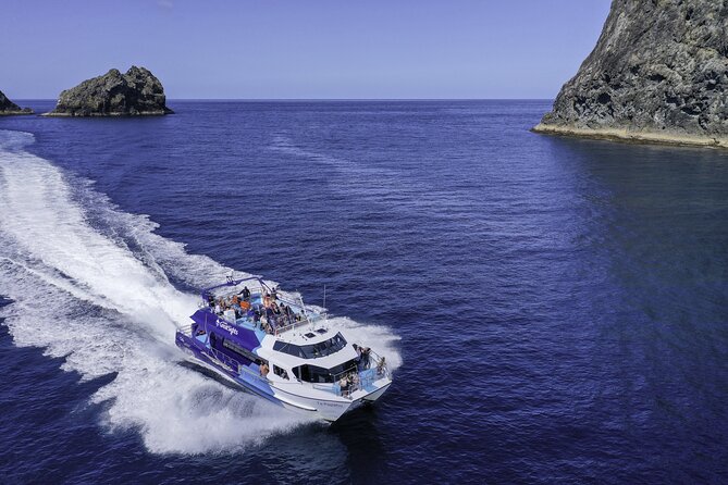 Full-Day Bay of Islands Tour by Vigilant Yacht Charters - A small yacht with room to breathe