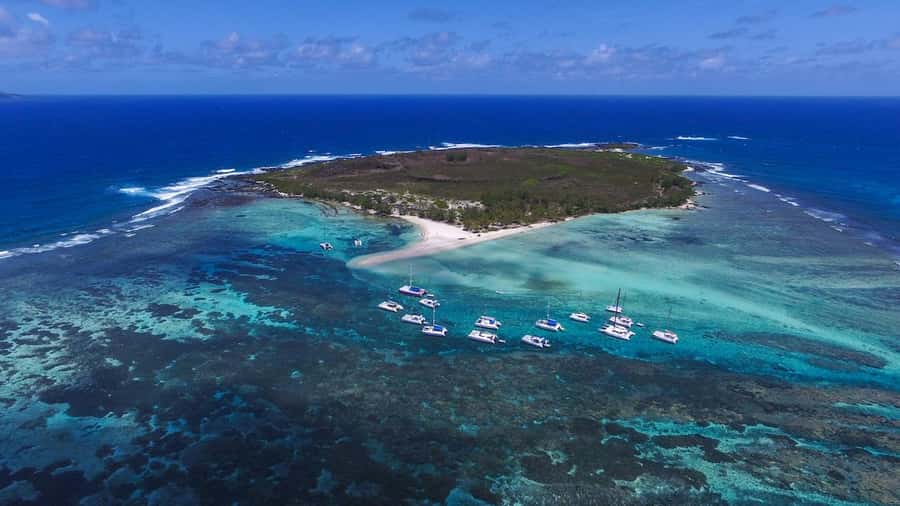 Full Day Catamaran Luxury Cruise to Northern Islands w Lunch - Who Will Enjoy This Cruise Most