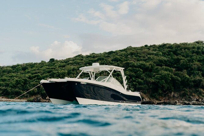 Full-Day Private Boat Charter from St. John or St. Thomas - A private day across St. John’s best water