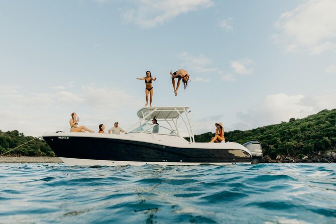 Full-Day Private Boat Charter from St. John or St. Thomas - Waterlemon Cay and the elkhorn coral