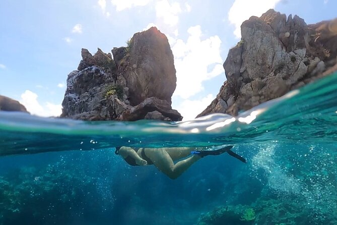 Full-Day Private Boat Charter from St. John or St. Thomas - What your captain adds to the day