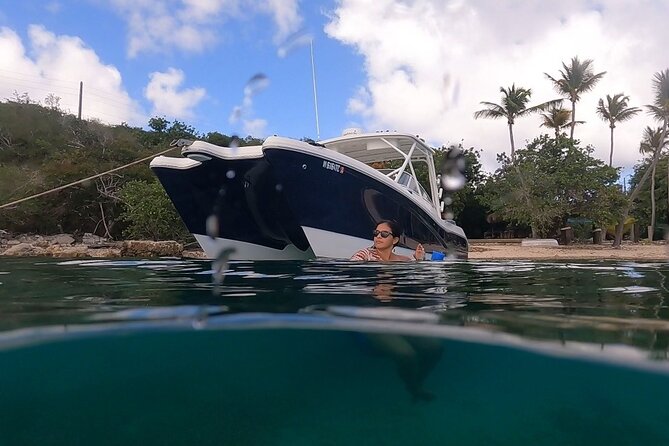 Full-Day Private Boat Charter from St. John or St. Thomas - Price, fuel, and the real value