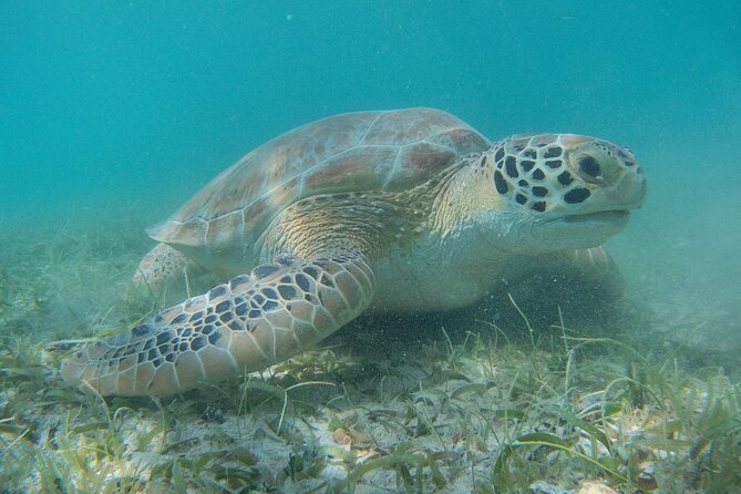 Full Day Private Charter, Snorkel St. John (12 guests, 55’ yacht) - The crew makes the difference