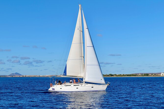 Full day Sailing yacht - Beautiful day on the Atlantic Ocean - Wildlife watching without a promise
