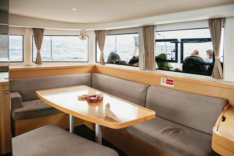 Funchal Bay: Dolphin & Whale Watch Luxury Catamaran Cruise - Practical details before you reserve