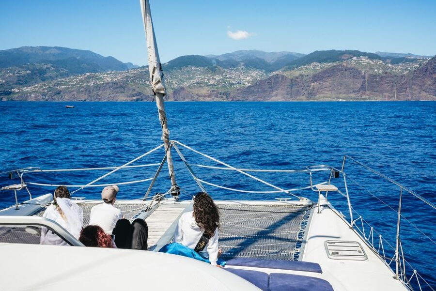 Funchal: Dolphin and Whale Watching by Luxury Catamaran - Practical timing and cancellation advice