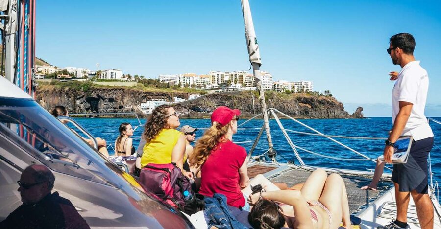 Funchal: Dolphin and Whale Watching by Luxury Catamaran - Why this Funchal catamaran trip feels different