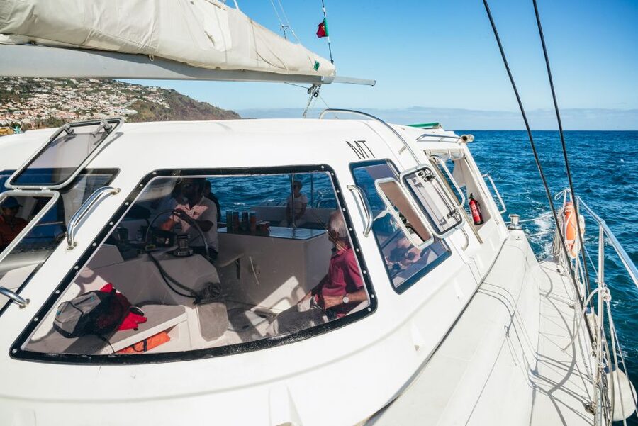 Funchal: Dolphin and Whale Watching by Luxury Catamaran - Sailing out from Funchal