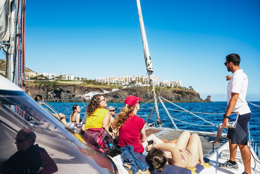 Funchal: Dolphin and Whale Watching by Luxury Catamaran - Watching dolphins and whales in Madeira’s waters