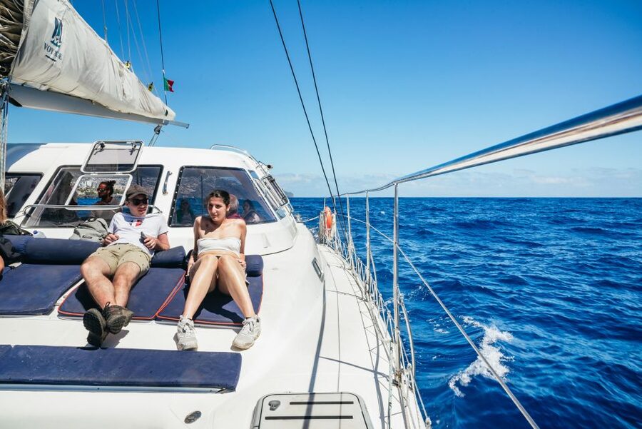 Funchal: Dolphin and Whale Watching by Luxury Catamaran - Comfort aboard the luxury catamaran