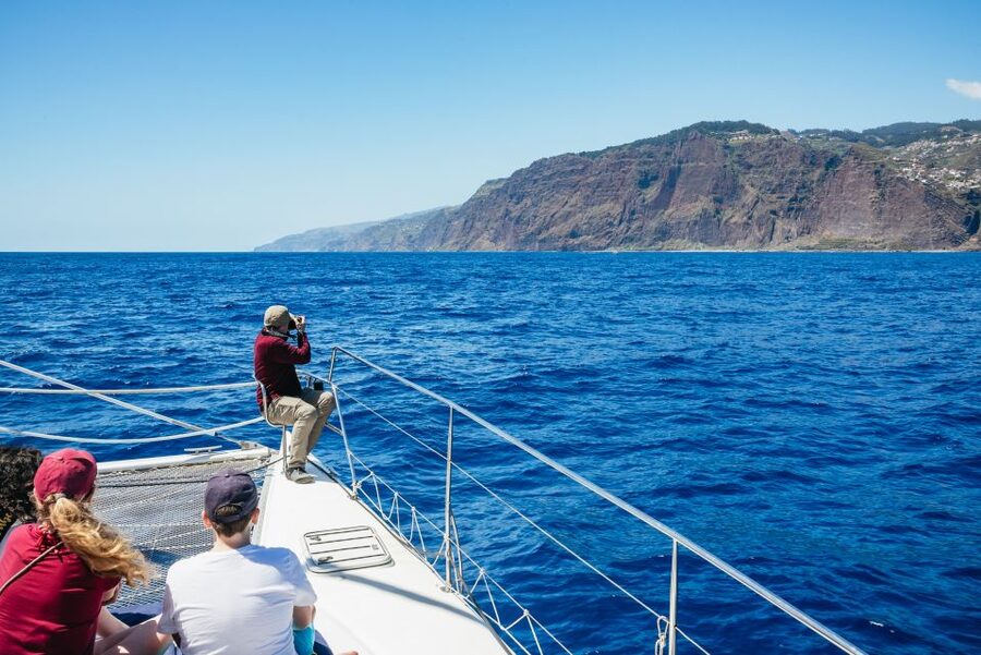 Funchal: Dolphin and Whale Watching by Luxury Catamaran - Who should choose this boat?