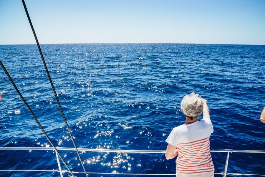 Funchal: Dolphin and Whale Watching by Luxury Catamaran - Reaching Pier 8 at Funchal Marina