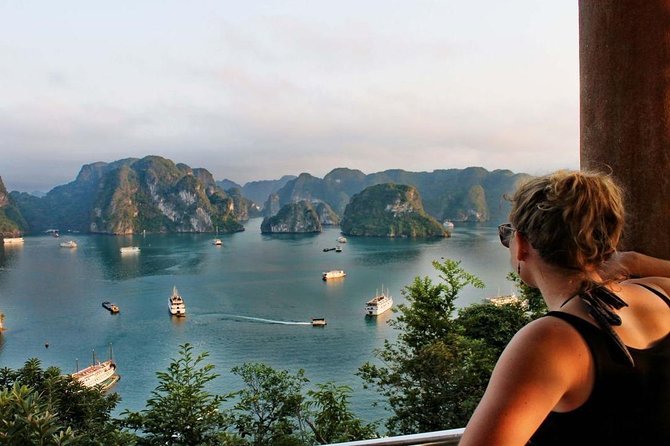 Ha Long Bay Luxury Cruise 1 Day - Lunch, service, and the role of the guide