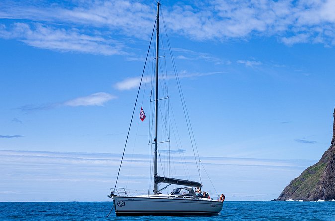 Half-Day Boat Trip Madeira Funchal- Private Yacht Snacks & Drinks - Who will enjoy this half-day yacht trip