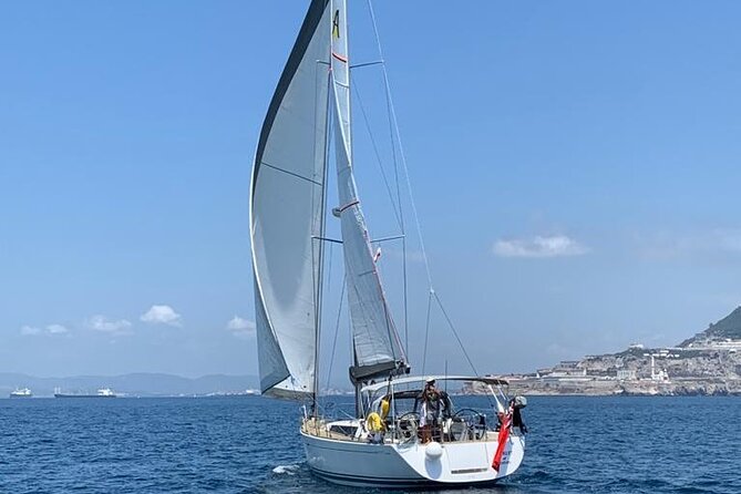 Half day charter on private sailing yacht in Gibraltar - Dolphin watching in Gibraltar Bay