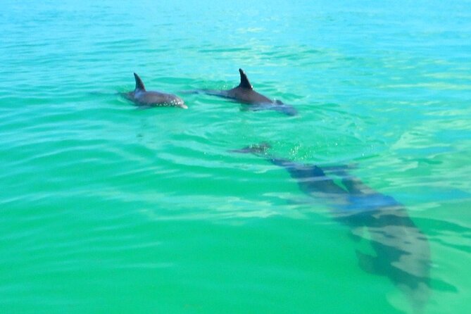 Half Day Luxury Boat Tour in Key West with Snorkeling - Fort Zachary Taylor adds history to the route