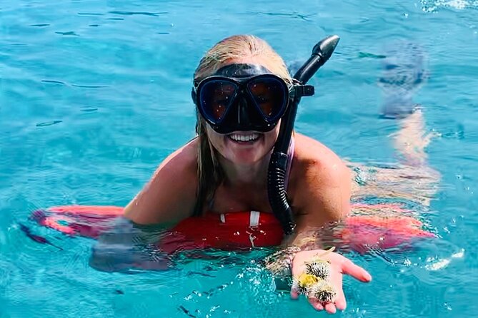 Half Day Luxury Catamaran Turtle Snorkel And Beach - Quick take: what makes this trip different
