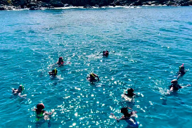 Half Day Luxury Catamaran Turtle Snorkel And Beach - The ride from Yacht Haven Grande