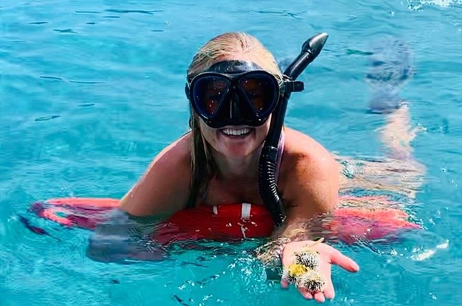Half Day Luxury Catamaran Turtle Snorkel And Beach - Honeymoon Beach: a slower second stop