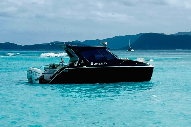 Half Day Luxury Catamaran Turtle Snorkel And Beach - Turtle Cove: the main wildlife encounter