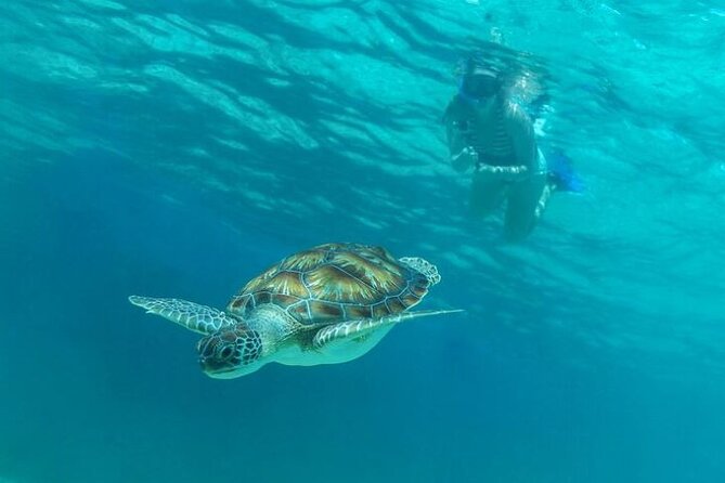 Half Day Luxury Sailing Experience in Riviera Maya with Open Bar - Lunch and the Open Bar