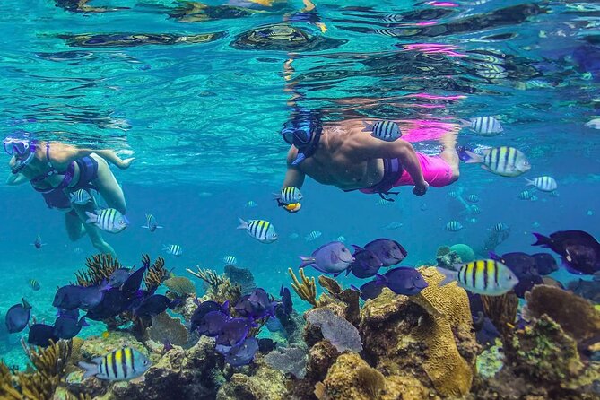 Half-Day Luxury Sailing in Puerto Morelos with Open Bar - Paddleboarding or doing absolutely nothing