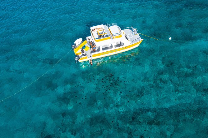 Half Day Private Boat Charter at Grace Bay, Providenciales - Conch hunting and a lunch from the sea