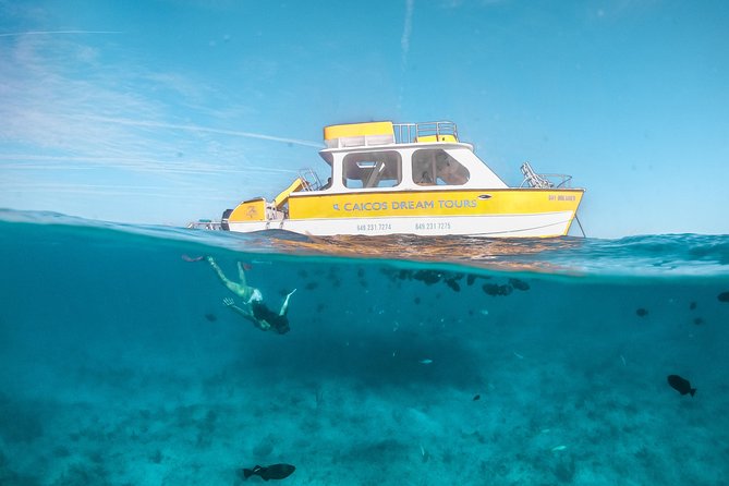 Half Day Private Boat Charter at Grace Bay, Providenciales - Half Moon Bay and Iguana Island