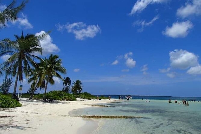 Half Day Private Boat Charter in Grand Cayman - Starfish Point and the final stop