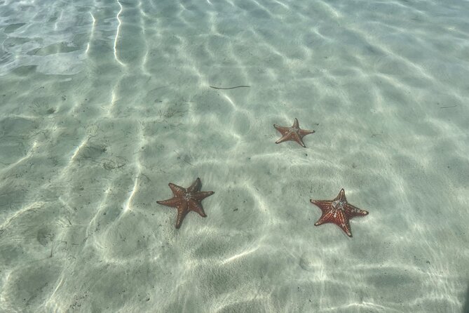 Half Day Private Boat Charter in Grand Cayman - Drinks, music, and the relaxed onboard feel