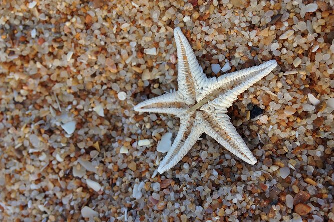 Half Day Private Motor Yacht Tour in Algarve - Timing, weather, and simple planning tips