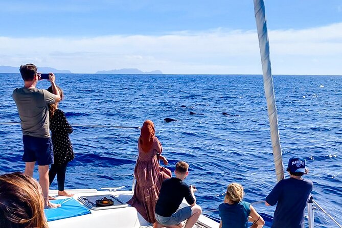 Half Day Tour on a Luxury Catamaran on Madeira Island - Crew, commentary, and the onboard mood