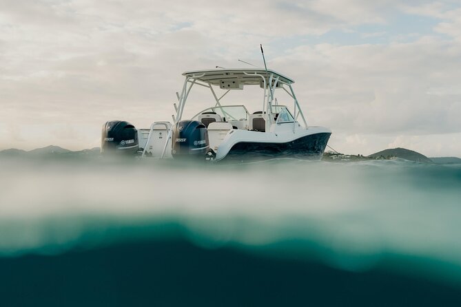 Half or Full-Day Private Boat Charter from St. John or St. Thomas - Scott Bay Beach for quiet time