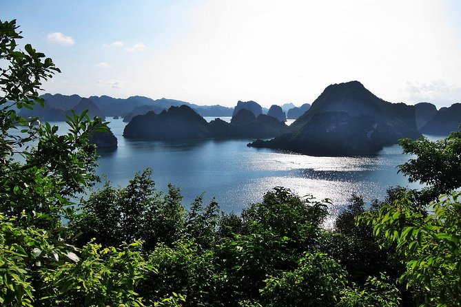 Halong Bay Cruise One Day Luxury Cruises - Why this day cruise works for a short Hanoi stay