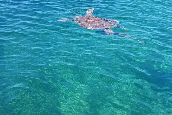 Honor Roll Private Bahamas Boat Charter - A private day on the water near Nassau