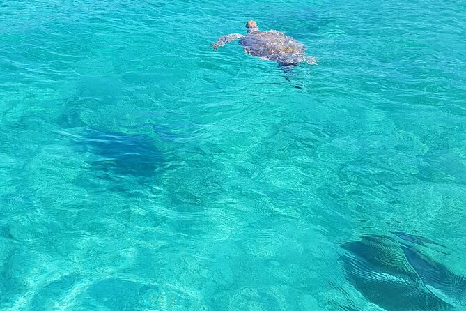 Honor Roll Private Bahamas Boat Charter - Atholl Island and the optional swimming pigs