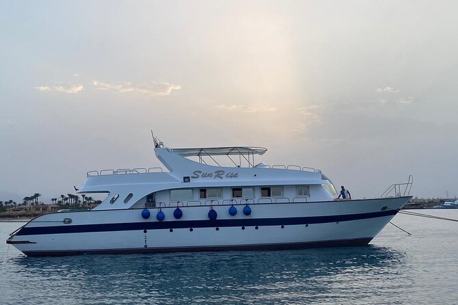 Hurghada: Luxury Cruise to Orange Bay & Hula Hula Island. - A Red Sea morning with dolphins at the center