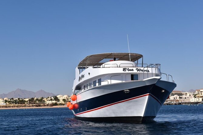 Hurghada: Luxury Cruise to Orange Bay & Hula Hula Island. - The strongest part of the experience: the crew