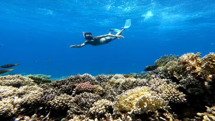 Hurghada: Luxury Cruise Trip to Orange Bay with Lunch - Massage, banana boat, and open-water downtime