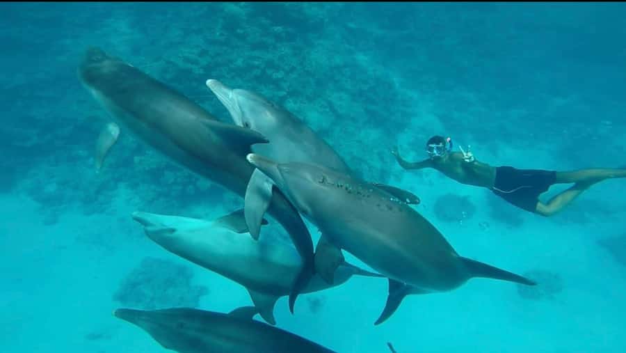 Hurghada: Luxury Yacht Trip with Personal Crew and Chef - Is this truly a private yacht trip?