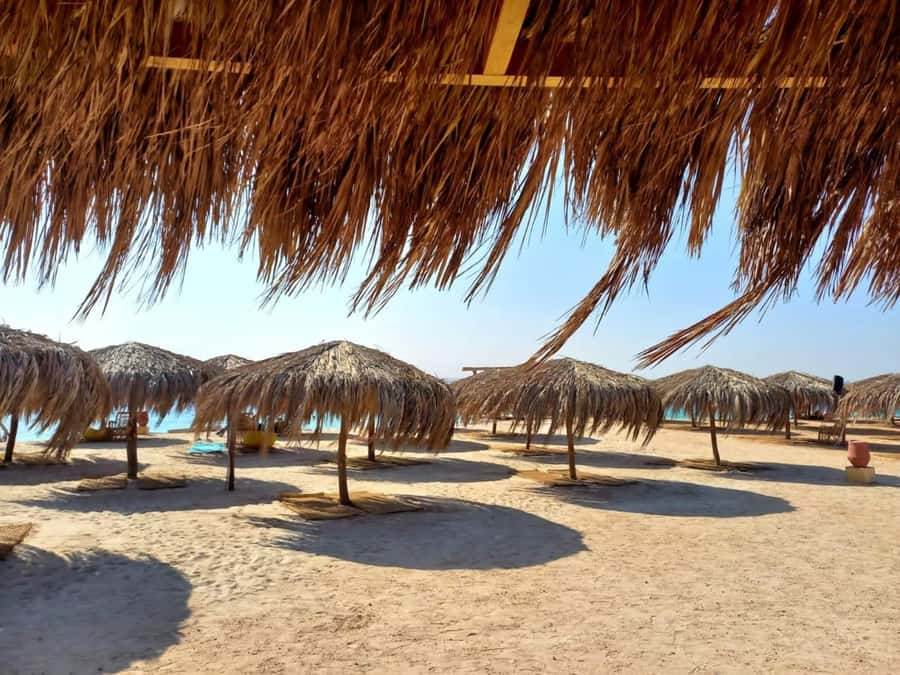 Hurghada: Yacht trip To Magawish island w Snorkeling & Lunch - Who will enjoy this most