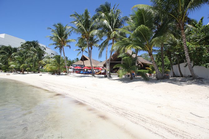 Isla Mujeres luxury catamaran with premium open bar and lunch - Who will enjoy this catamaran day?