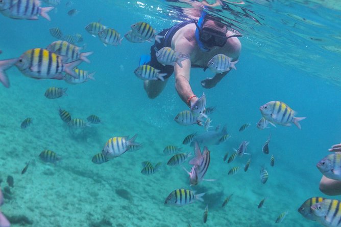 Isla Mujeres Luxury Sailing: Adults Only or Family Friendly - Adults-only or family-friendly: read this twice