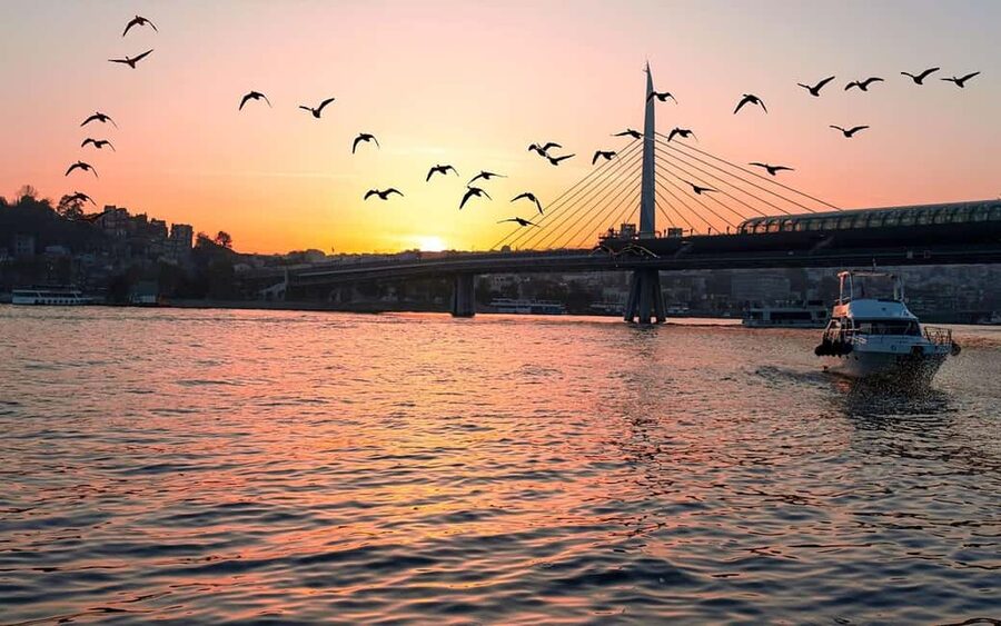 Istanbul: Bosphorus Yacht Cruise with Golden Horn View - Why the Bosphorus is the right place to see Istanbul