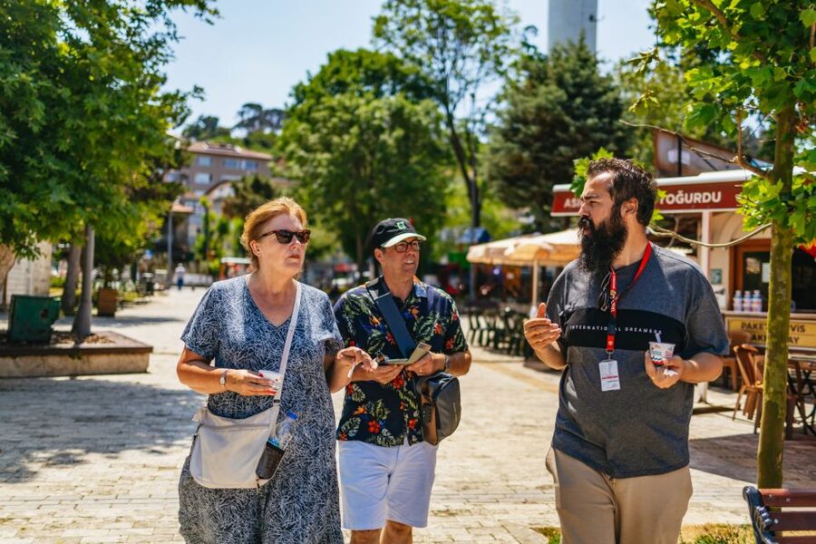 Istanbul: Bosphorus Yacht Cruise with Stopover on Asian Side - Who will enjoy this cruise most