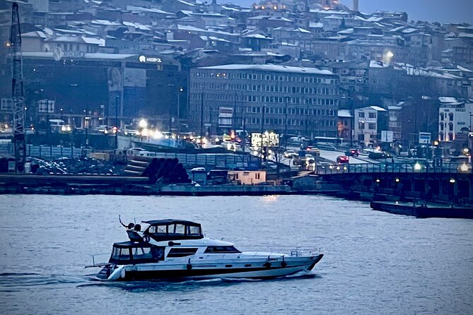 Istanbul: Luxury Private Yacht Cruise on the Bosphorus - Communication, support, and guide expectations